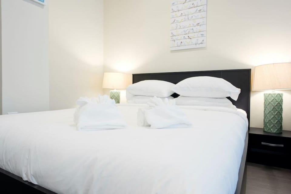 Simple Studio Walk to MGH Beacon Hill and North End Apartment in South Boston