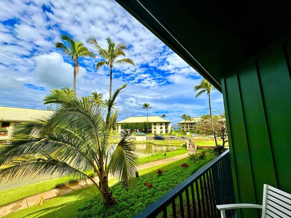 Garden view