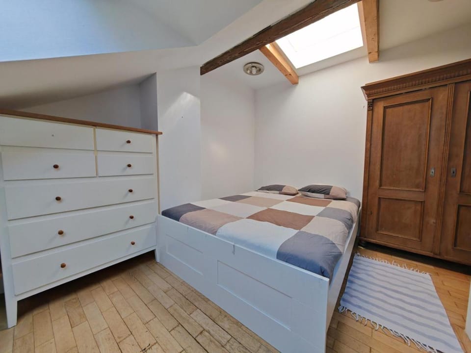 Elegant and Spacious 4BR Loft in Charming Vinohrady Apartment in Prague