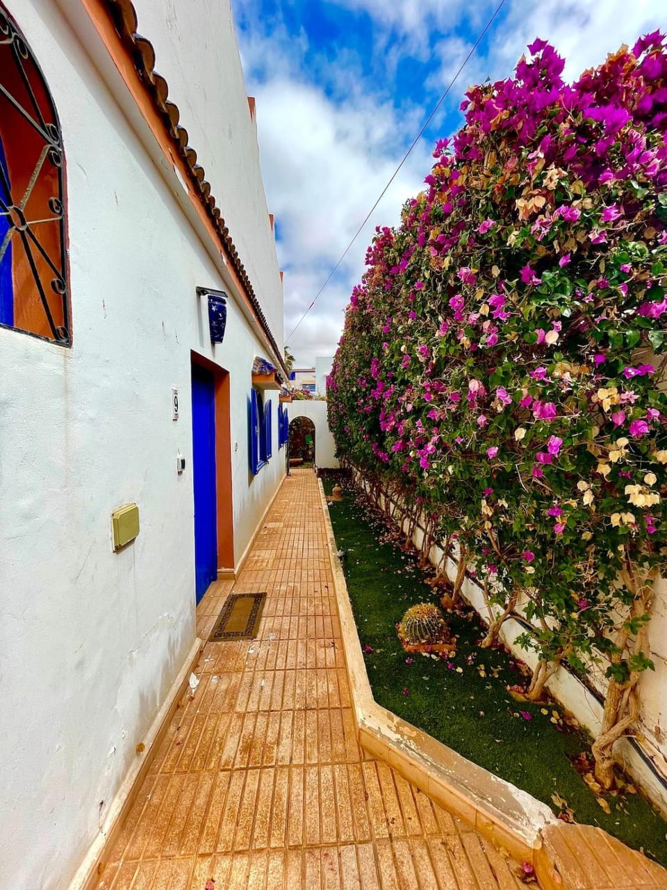 Facade/entrance, Garden, Garden