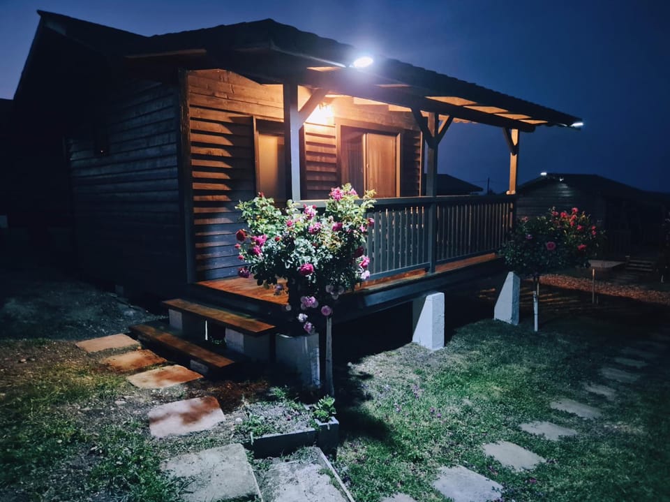 Property building, Night, Garden