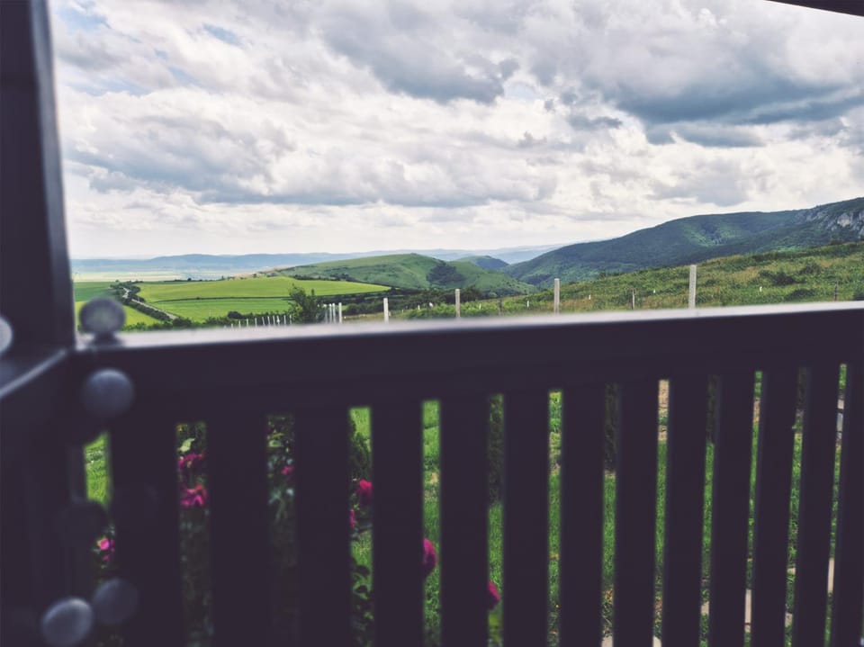 Natural landscape, View (from property/room), Balcony/Terrace, Mountain view