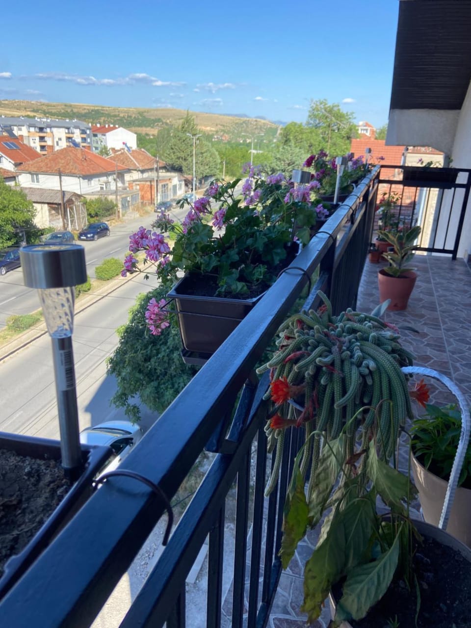 Property building, Day, View (from property/room), Garden view