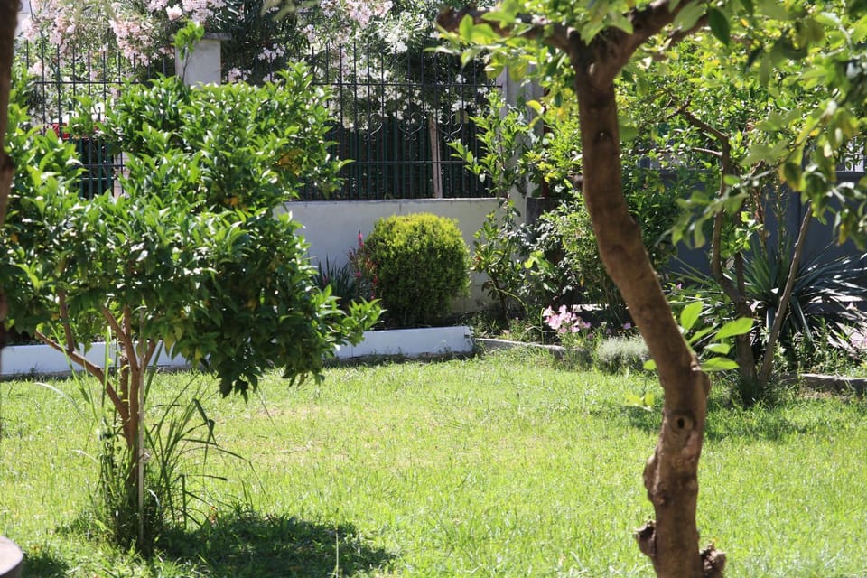 Garden, Garden