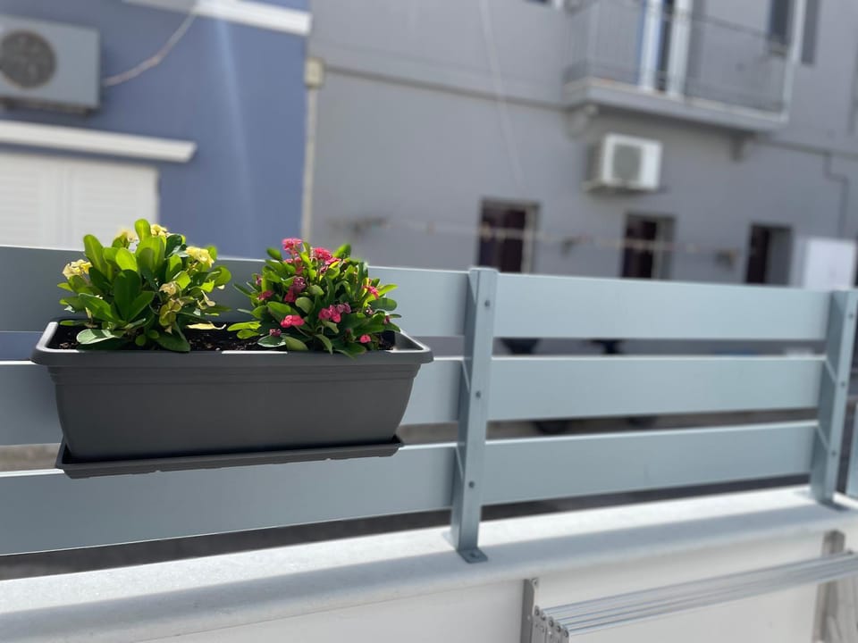 Aetheria House in Decentralized Administration of the Aegean