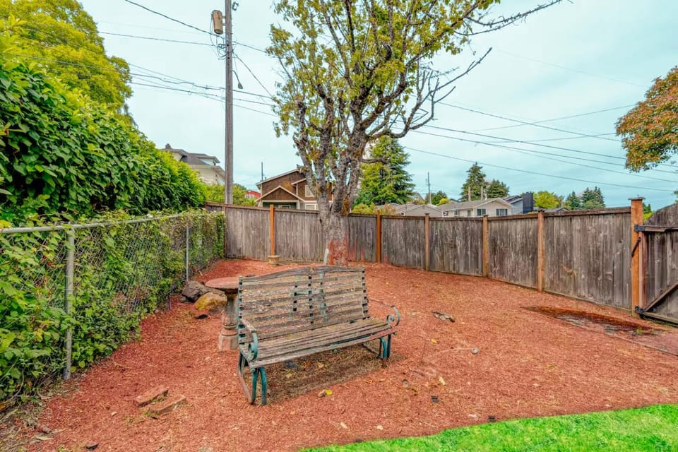 Spring, Day, Garden, Garden view