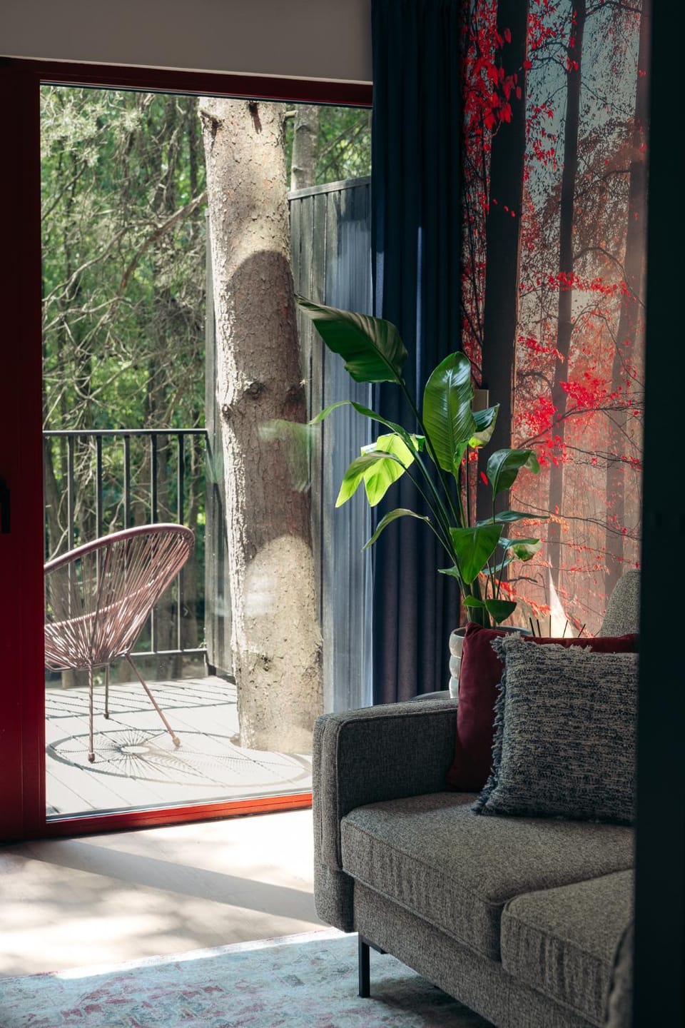 Garden view