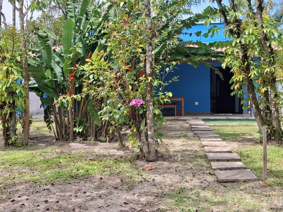 Patio, Garden