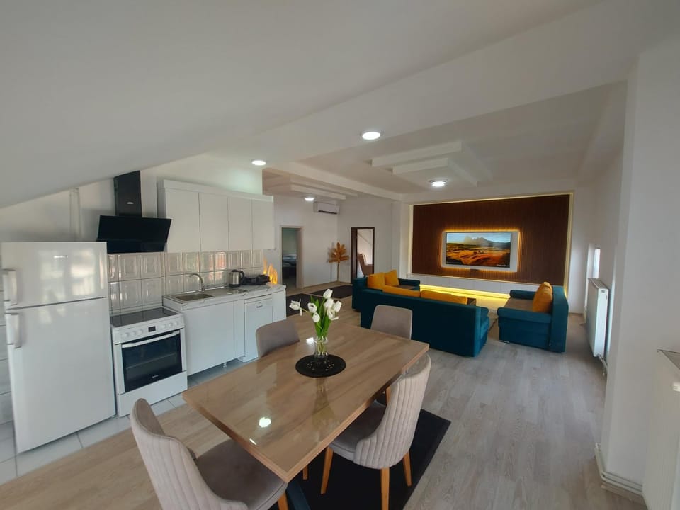 Kitchen or kitchenette, Living room, Seating area, Dining area, dishwasher, oven, stove, toaster