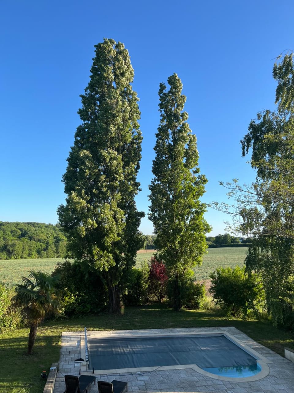 View (from property/room)