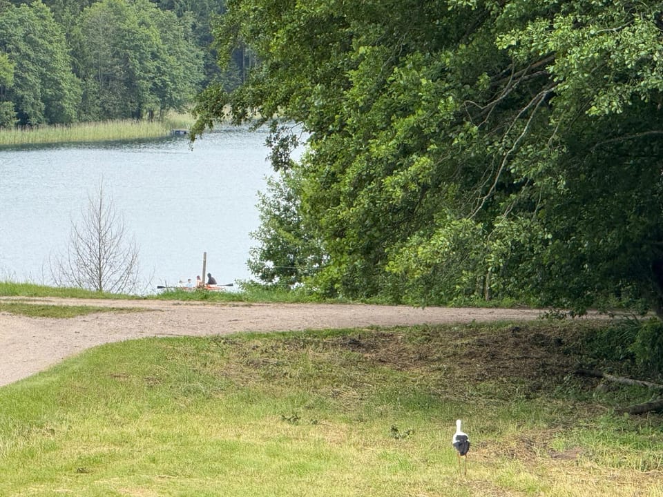 Nearby landmark, Lake view
