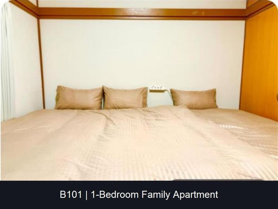jr小岩駅徒歩10分,ディズニーランド,成田,羽田空港直行バス Apartment in Japan