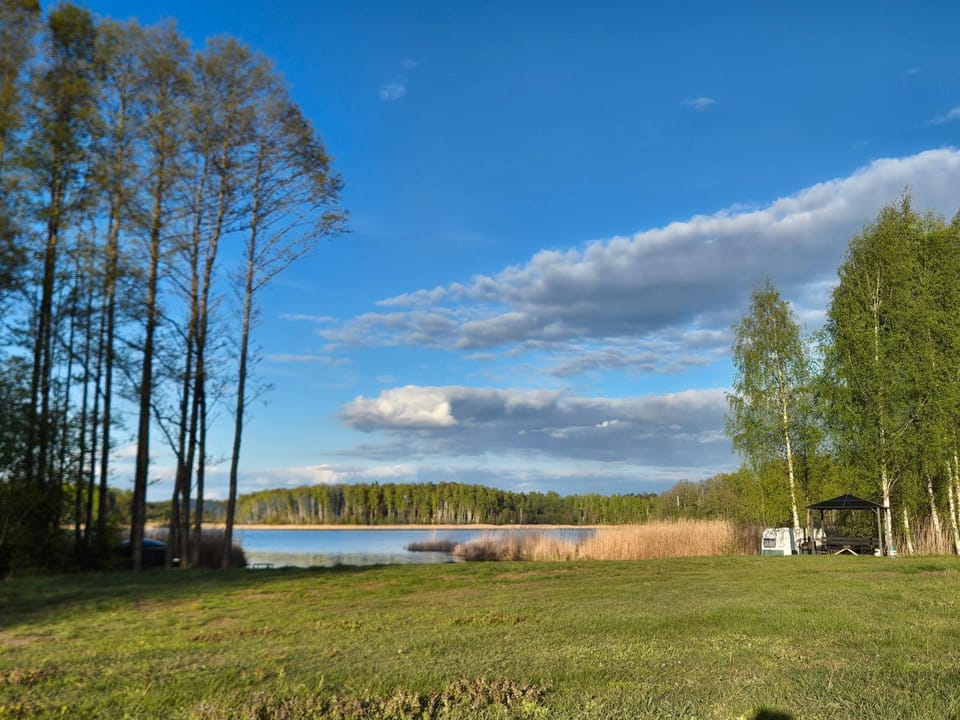 Lake view