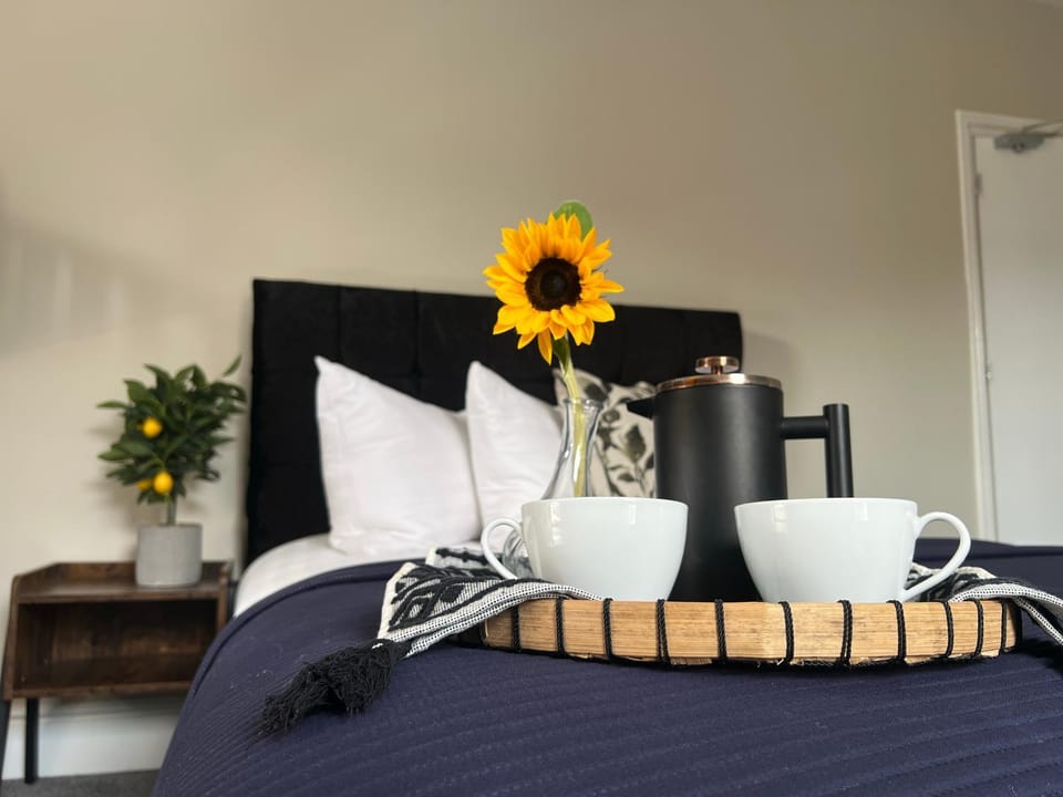 Llangollen High Street - 4 bedrooms - Sleeps 12 Apartment in Llangollen