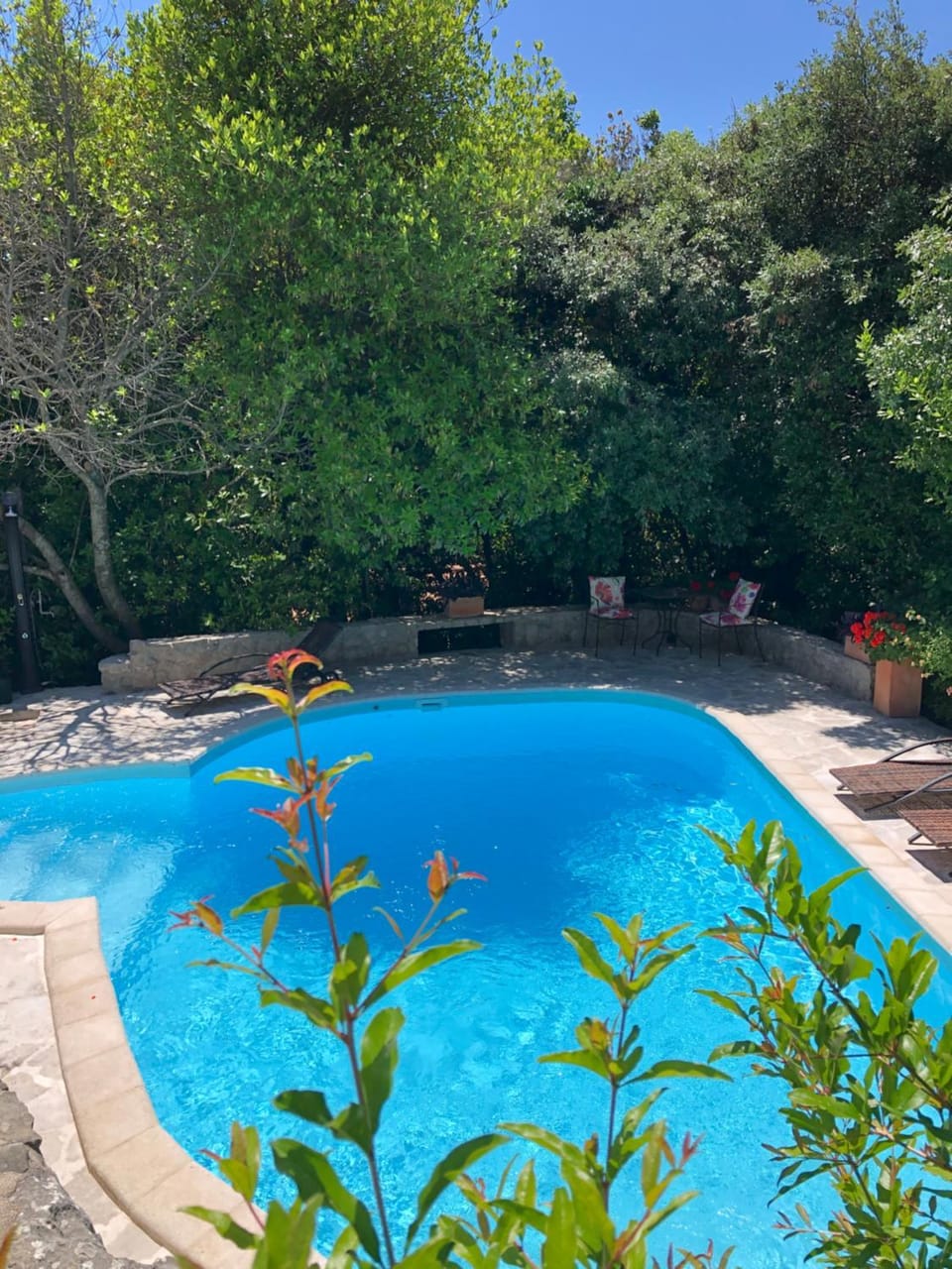 Garden, Garden view, Pool view, Swimming pool, sunbed