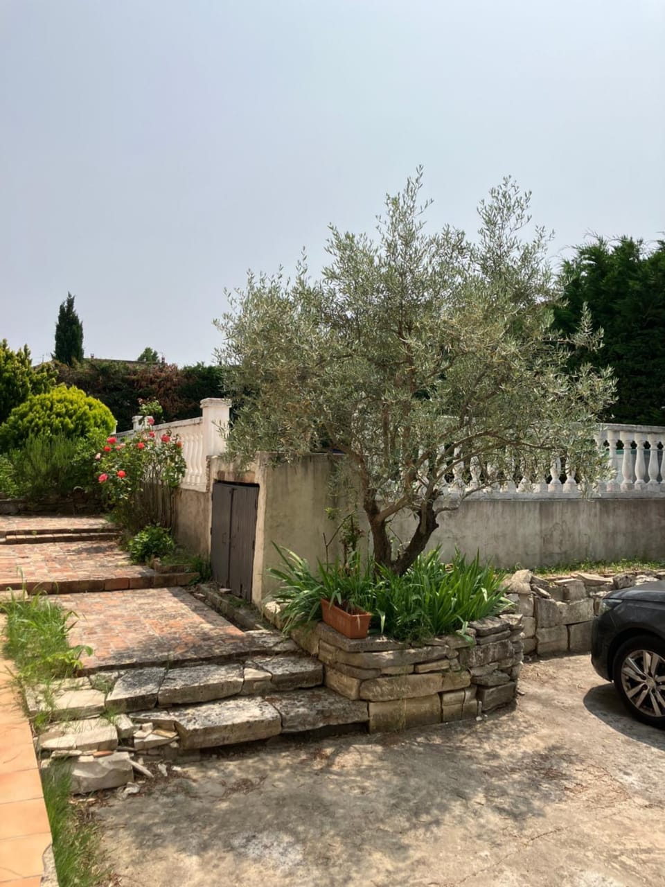 Garden view