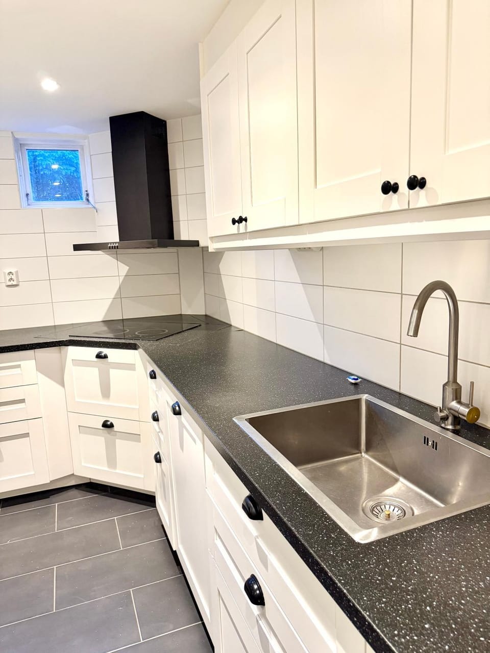 Kitchen or kitchenette, dishwasher