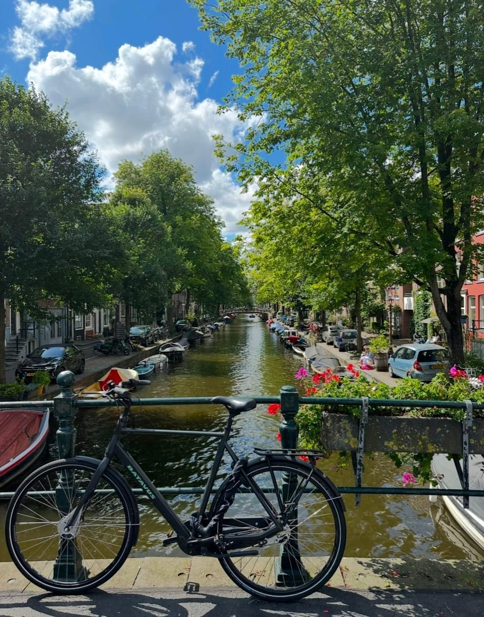 Cozy Guesthouse 15 min Amsterdam Haarlem Zandvoort House in Amsterdam