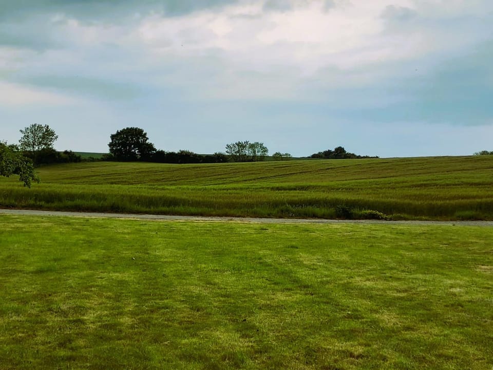 Natural landscape, View (from property/room)