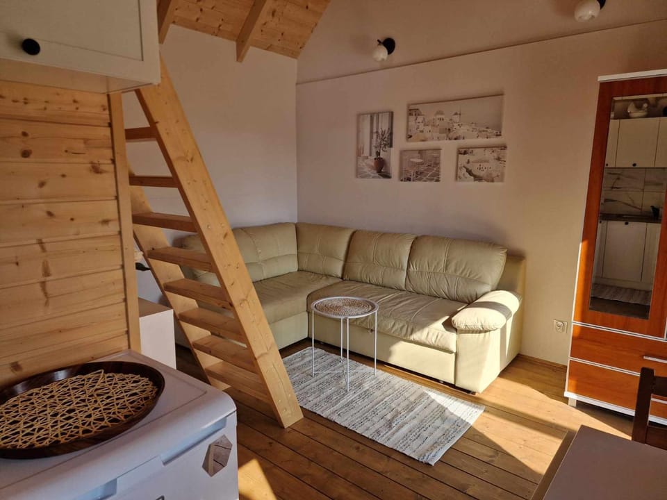 Bocian House in Poland