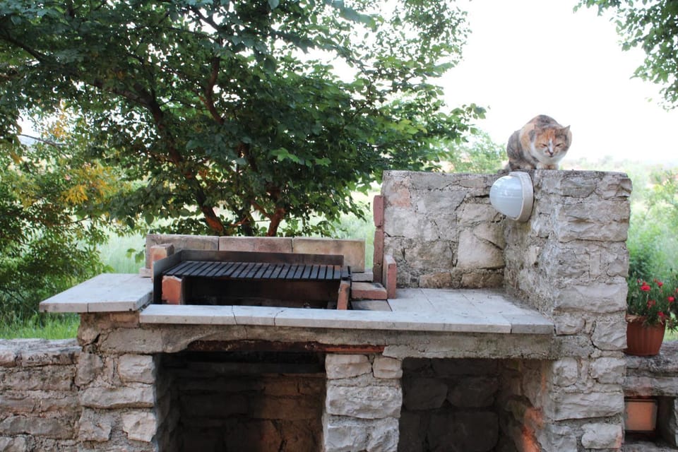 Apartment Marijana House in Istria County