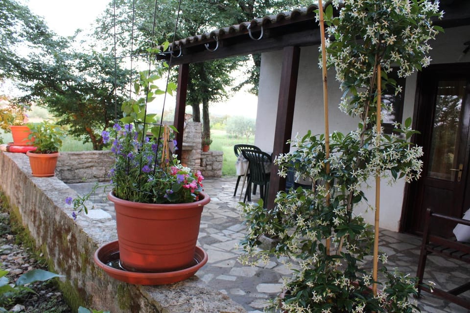 Apartment Marijana House in Istria County