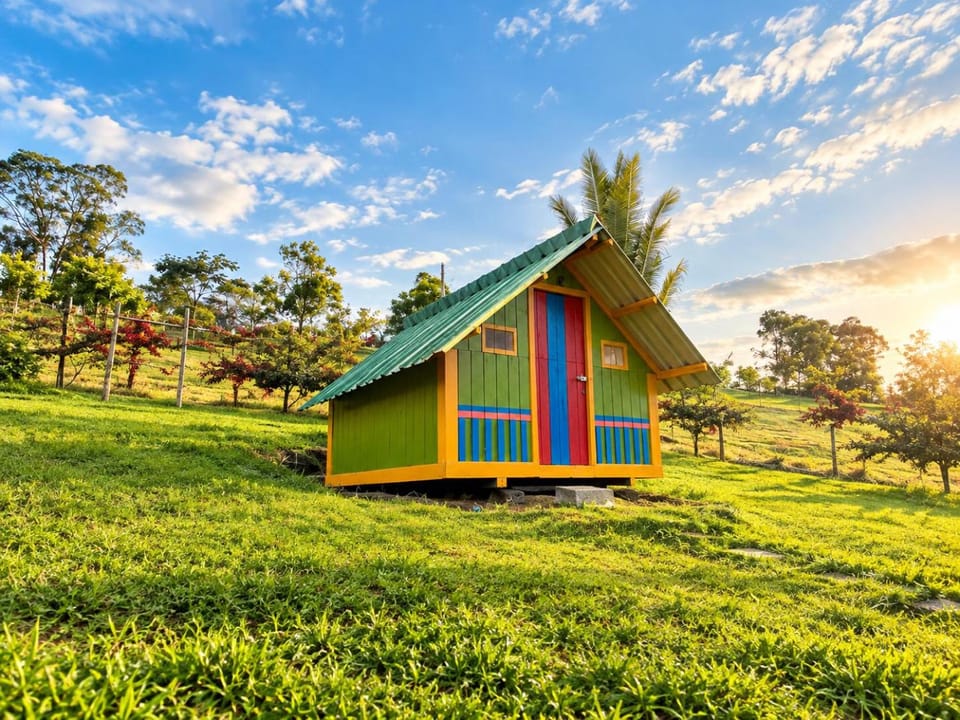 Day, Natural landscape, Garden, Garden view