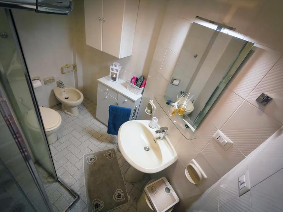 Shower, Toilet, Bathroom, bidet
