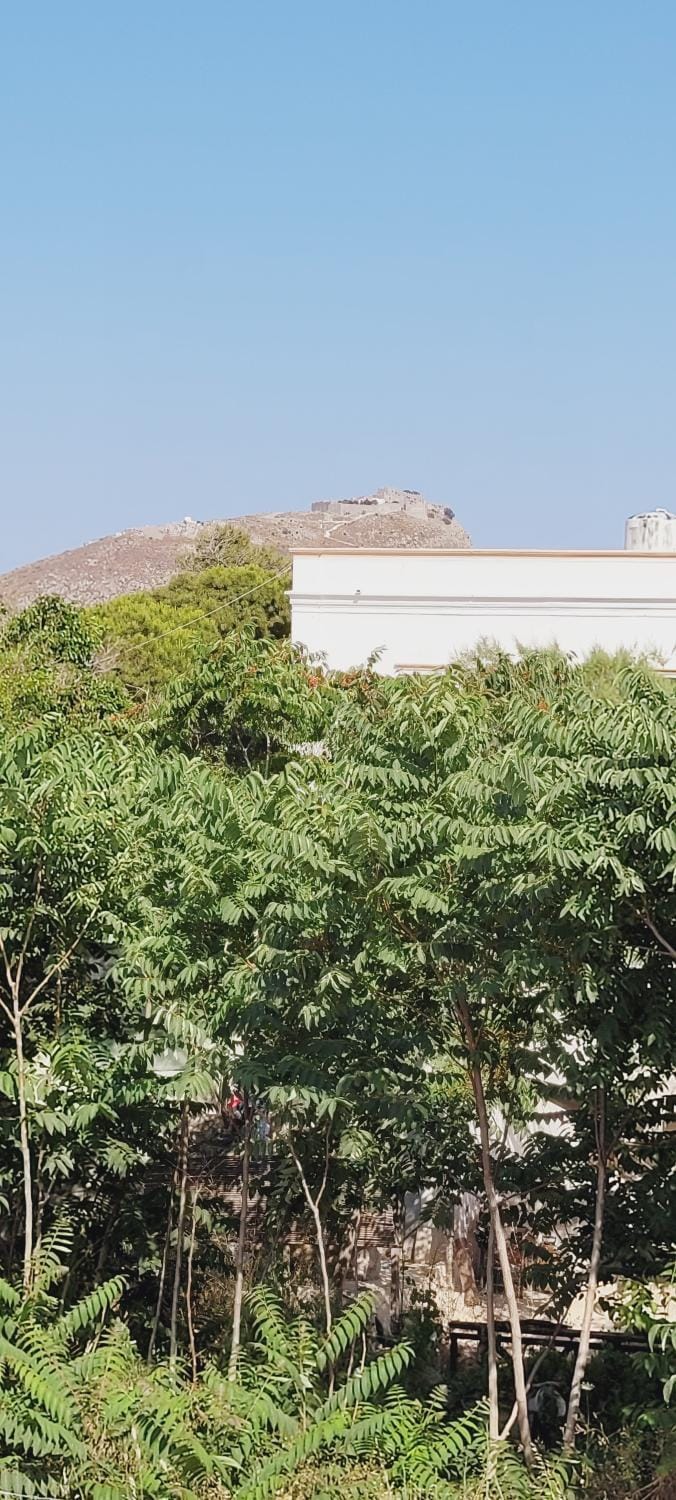 Landmark view