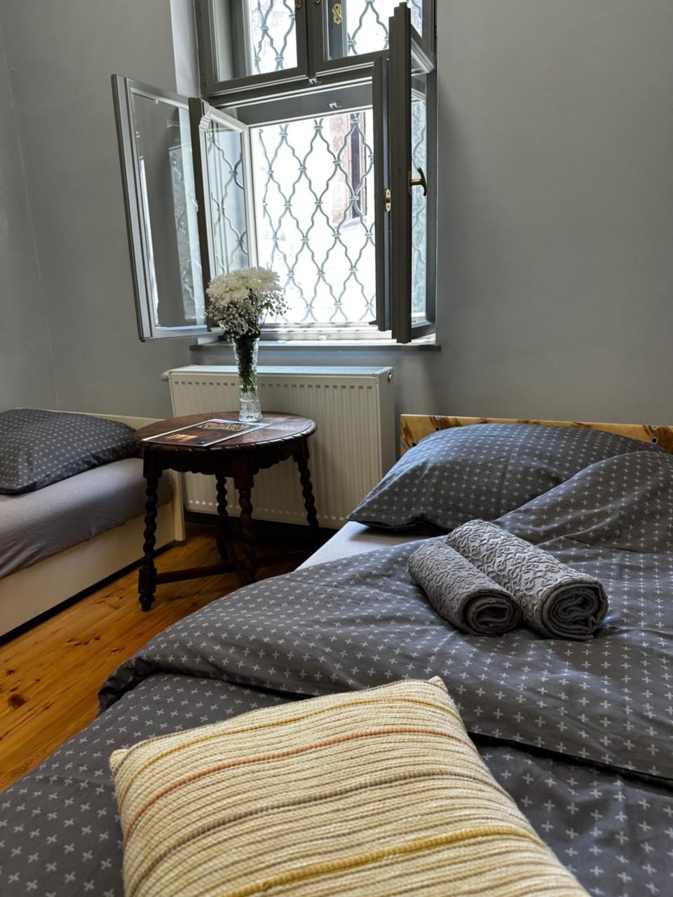 Museum Apartment in the City Center Apartment in Hungary