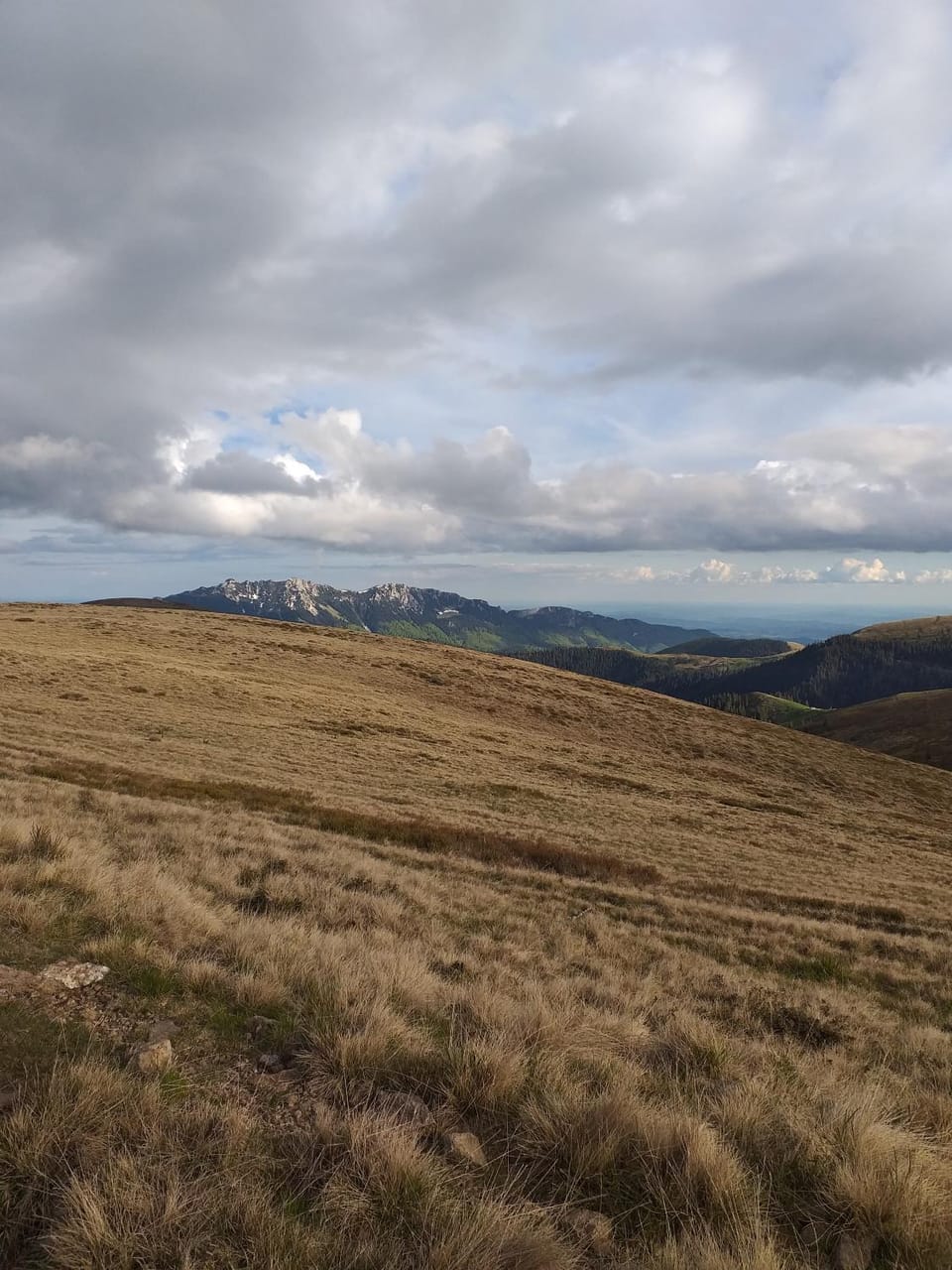 Natural landscape
