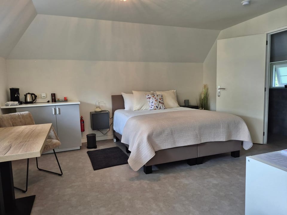Bed, Kitchen or kitchenette, Photo of the whole room, Dining area, Bedroom