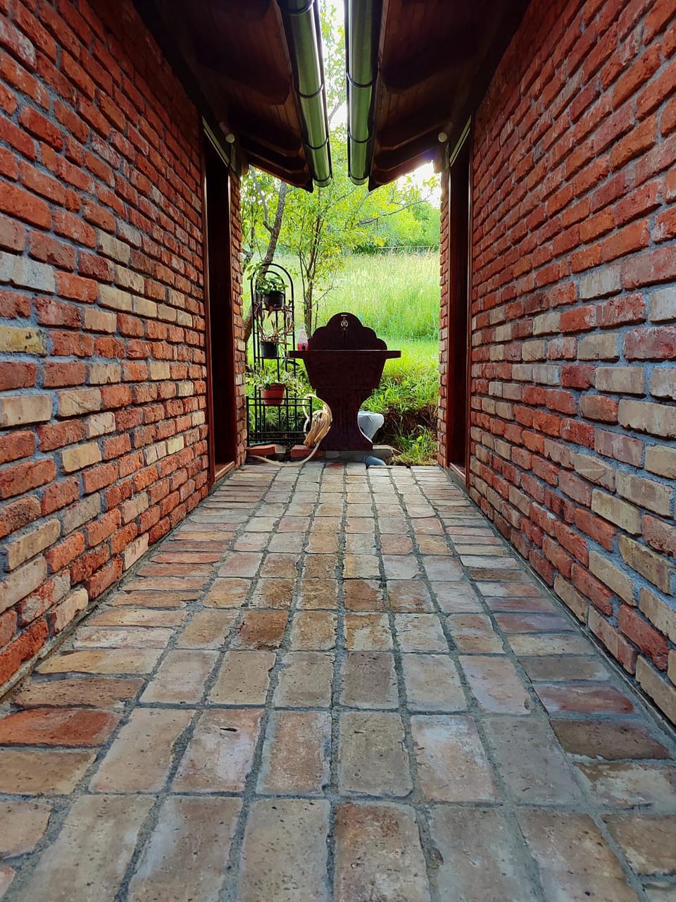 Day, Garden, Garden view