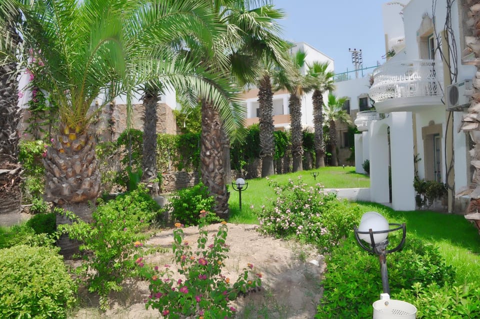 Garden view