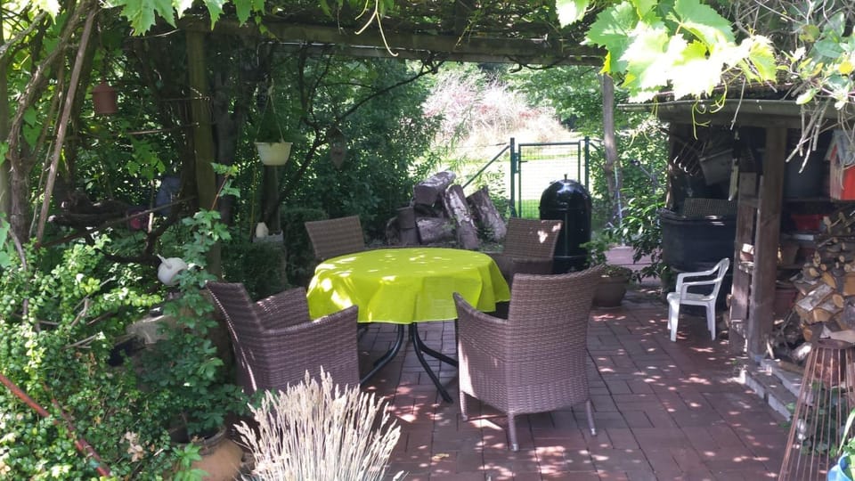 Garden, Seating area, Dining area