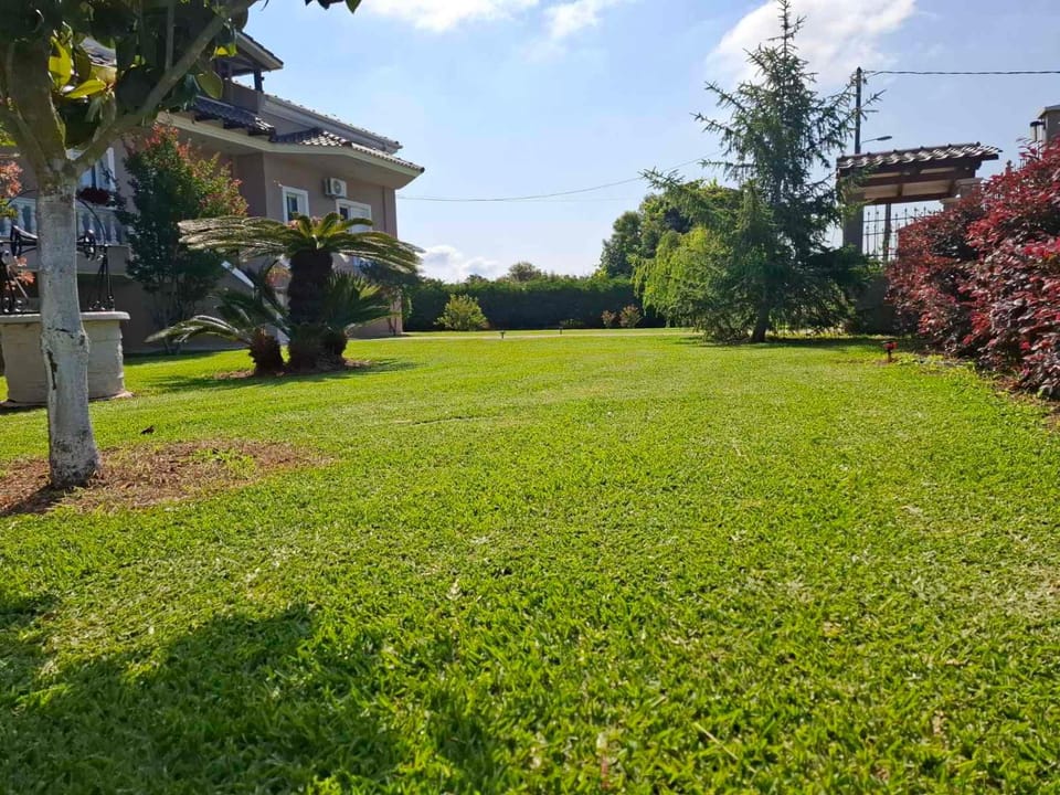 Day, Natural landscape, Garden, Garden view