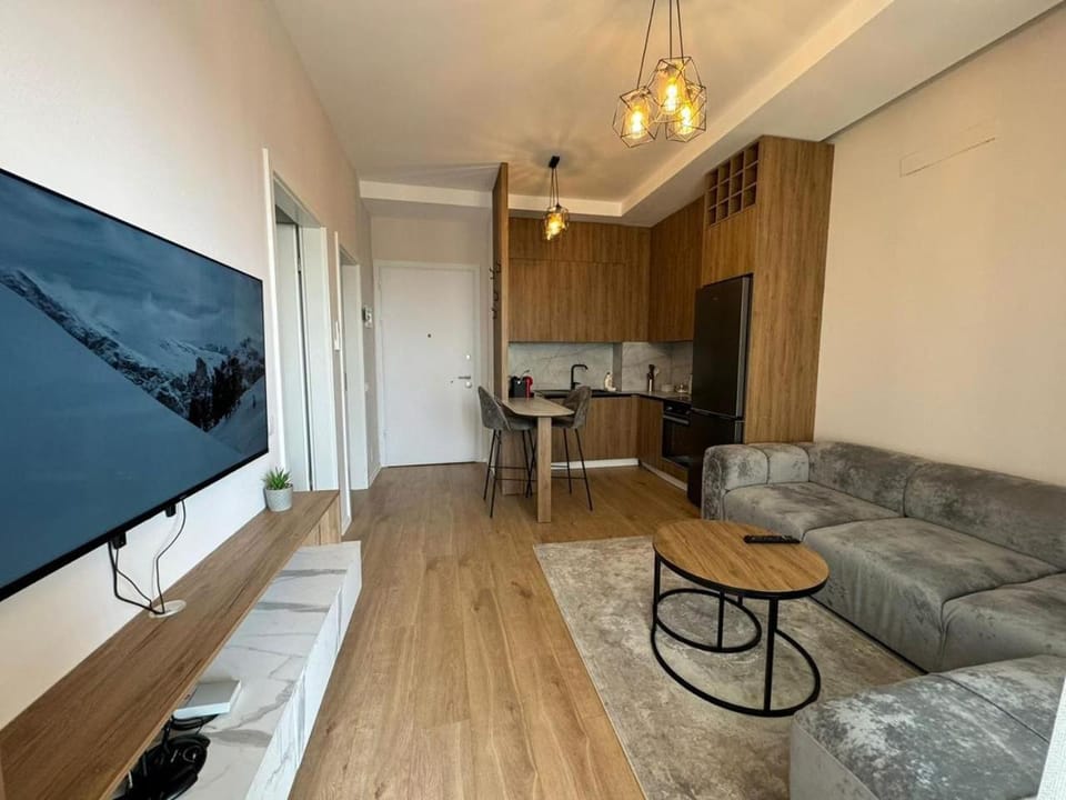TV and multimedia, Kitchen or kitchenette, Living room, Seating area, Evening entertainment