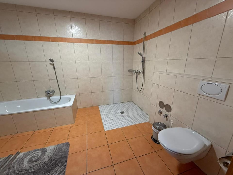 Shower, Toilet, Bathroom, Bath, towels