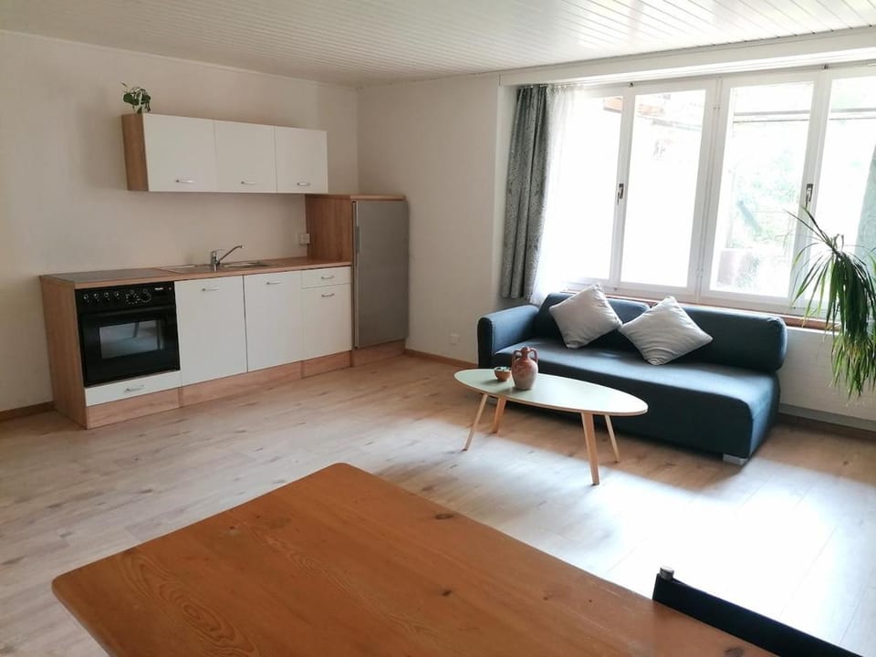 Apartment in Erlach Apartment in Canton of Bern (Region)