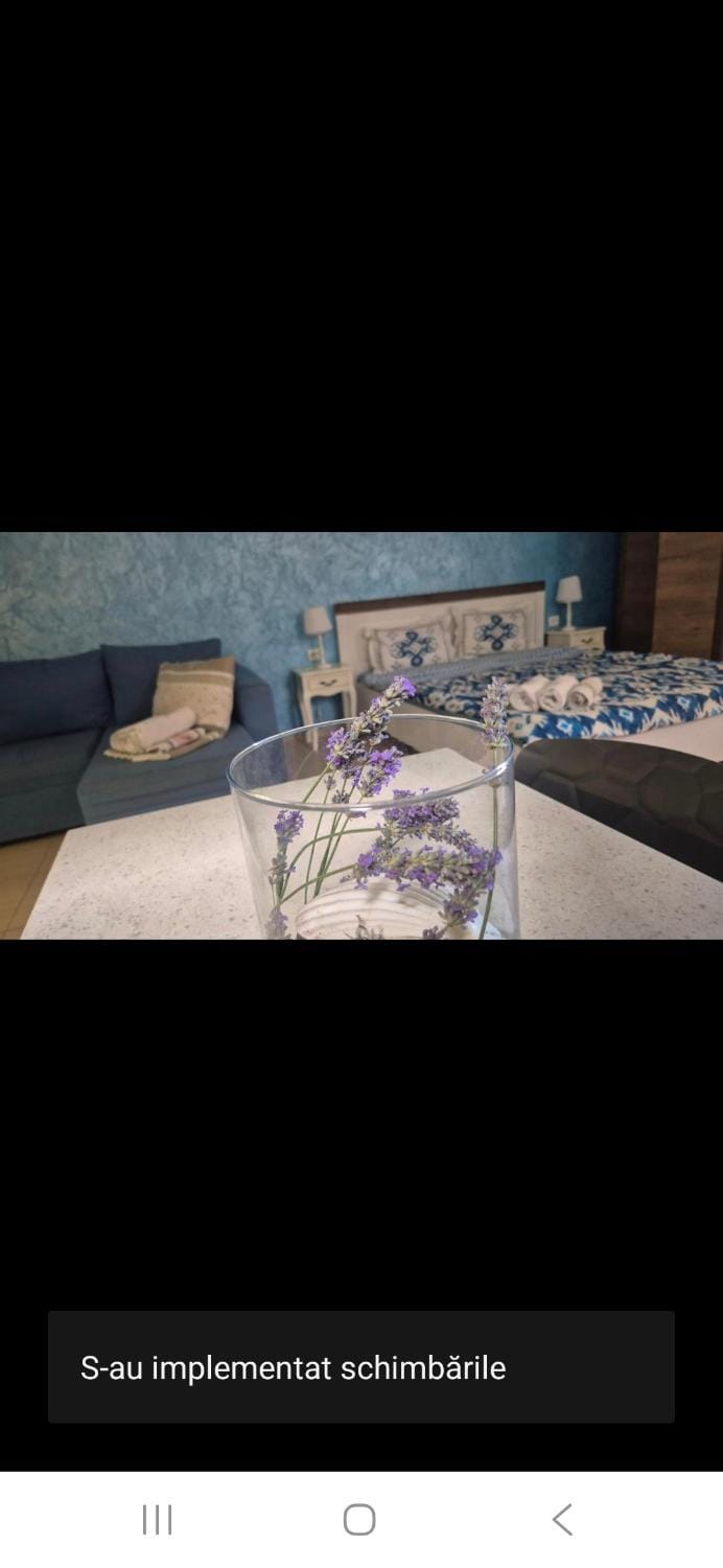 Madeira Apartment in Constanța County