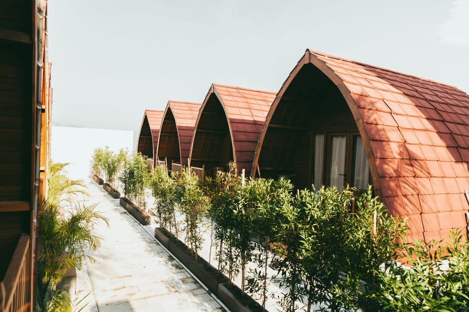 Property building, Day, Garden, Garden