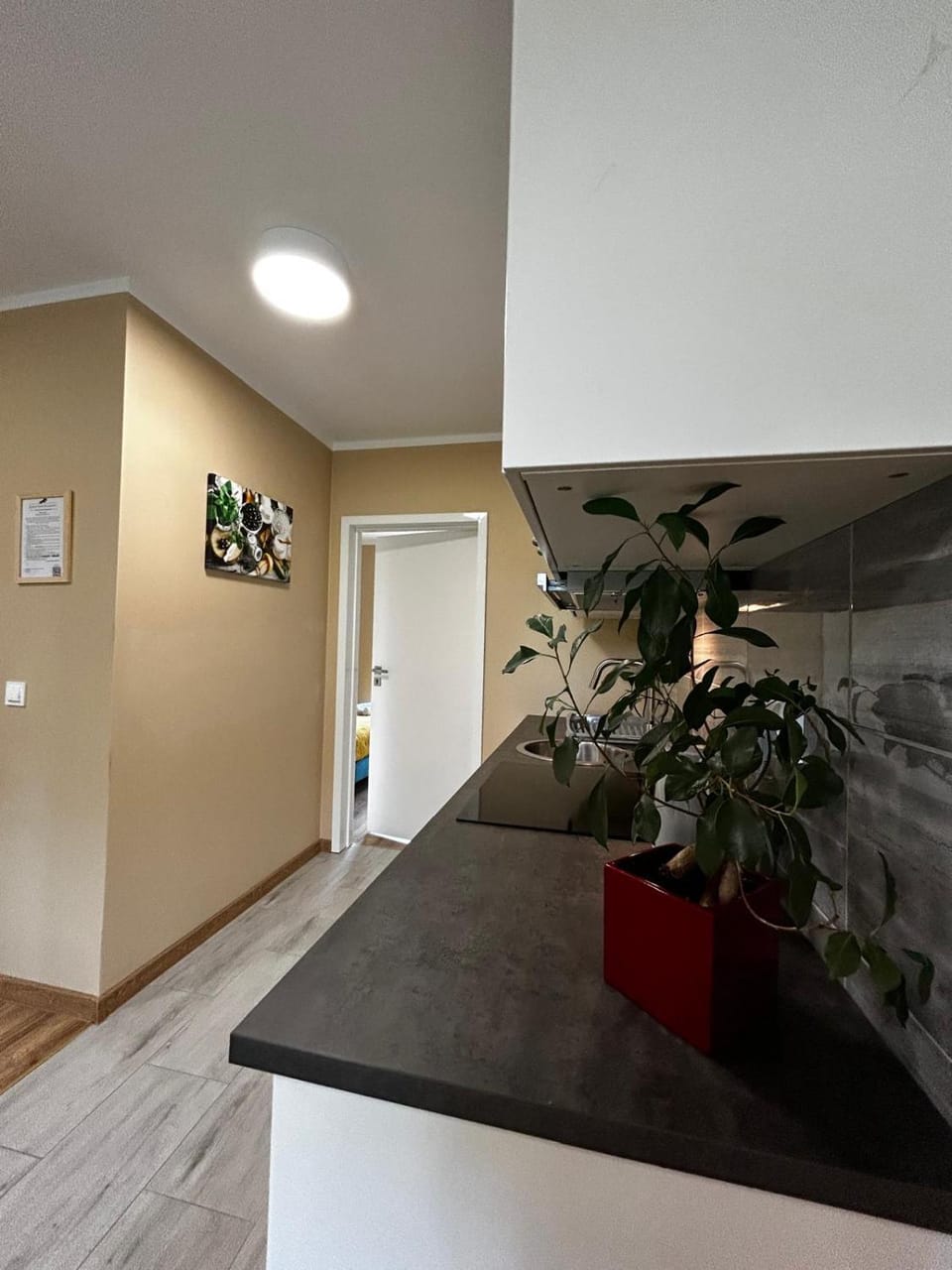 Apartamenty pod Szczęśliwym Koniem Apartment in West Pomeranian Voivodeship, Poland