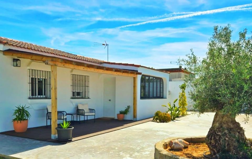 Property building, Spring, Day, Garden, Garden view