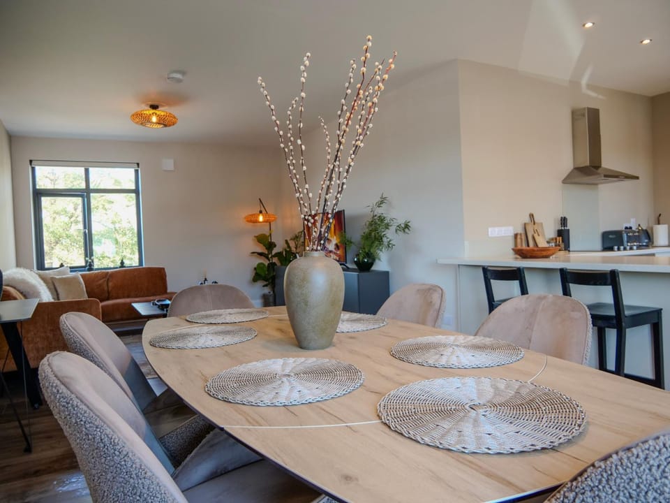 Riverside Dingle - Luxury Apt 2 Apartment in Dingle