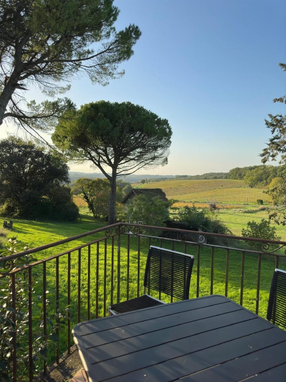 Natural landscape, Garden view