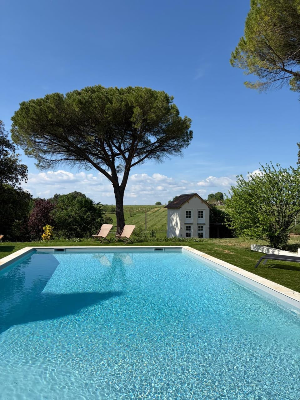 Natural landscape, Pool view, Swimming pool, sunbed