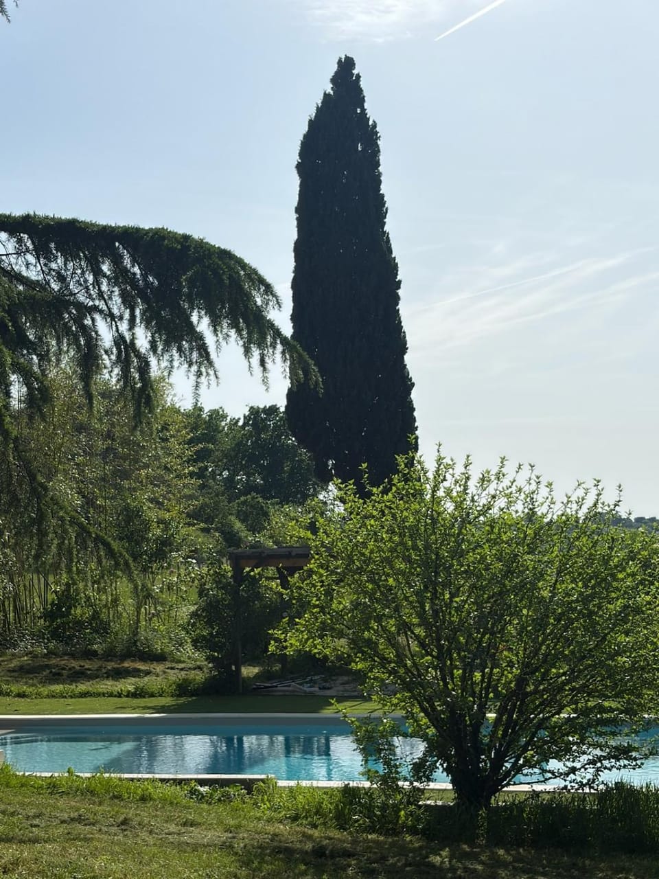 Natural landscape, Garden view