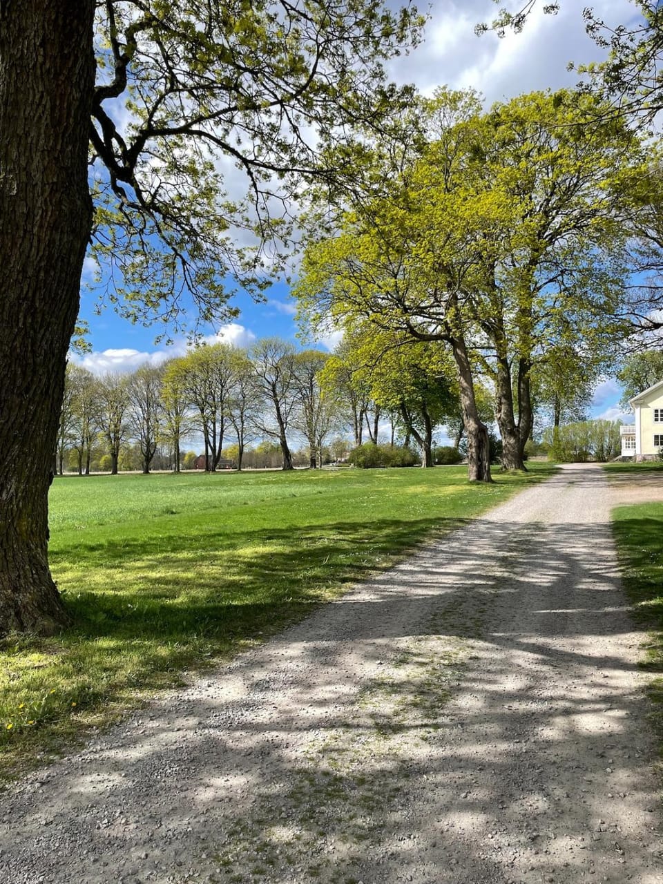 Day, Garden, Garden view