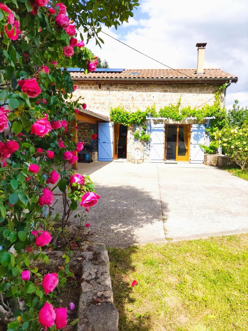 Property building, Garden, Garden, Balcony/Terrace
