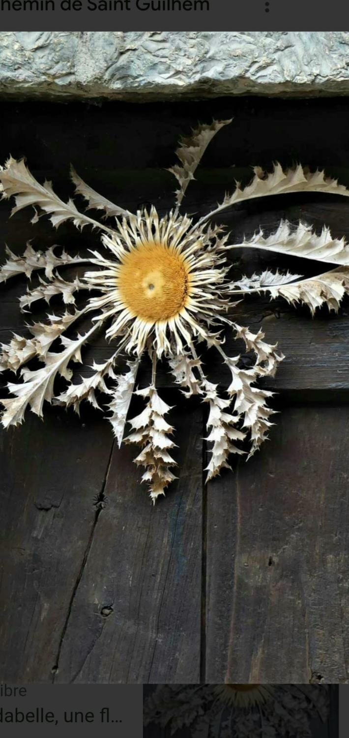 Decorative detail